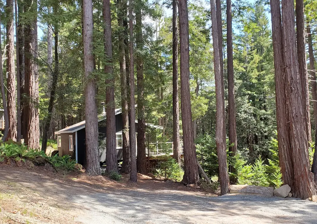 Point Arena Redwood Cabin — Point Arena, CA
